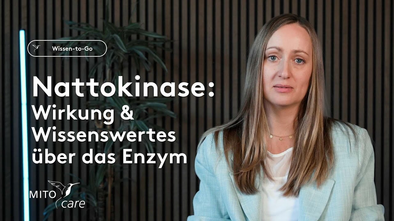 Was ist Nattokinase?