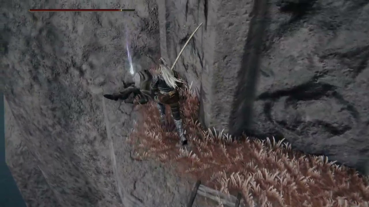 Elden Ring - Item und Gegner Randomizer 8