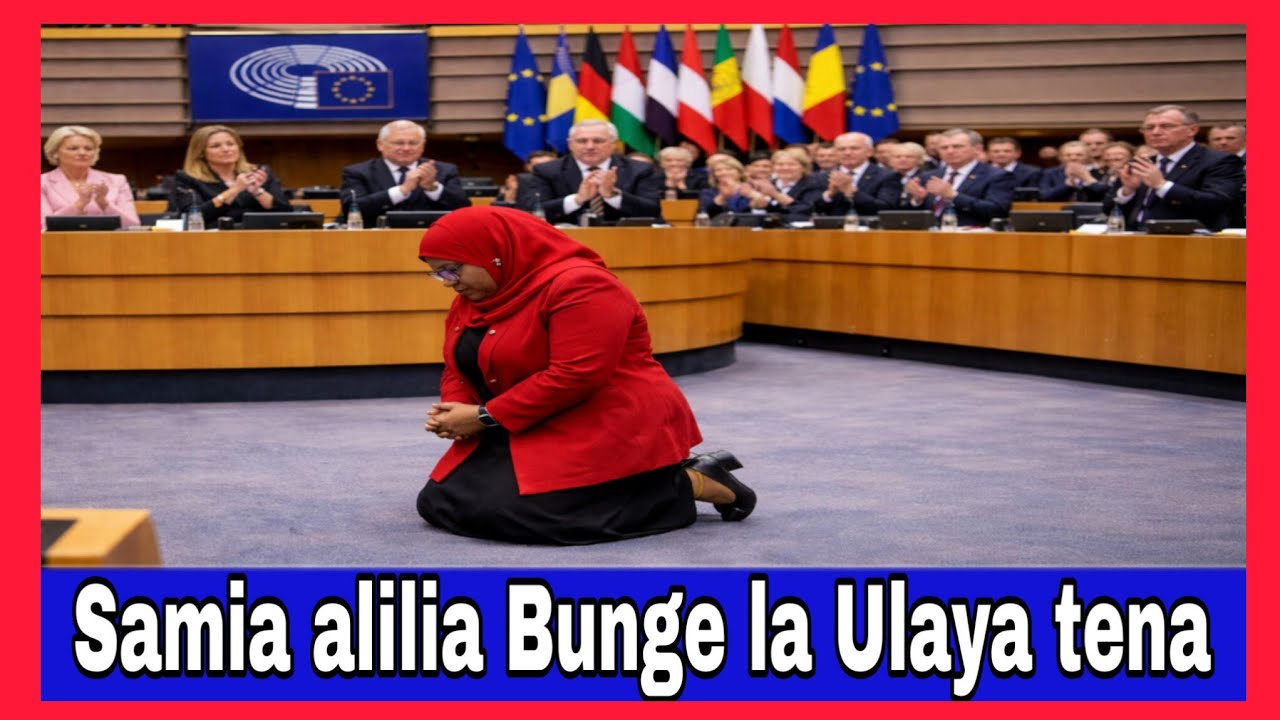 Who are you? Samia Alilia Bunge la Ulaya Kumpa pesa za Misaada baada ya kuifunga kutokana na mauaji