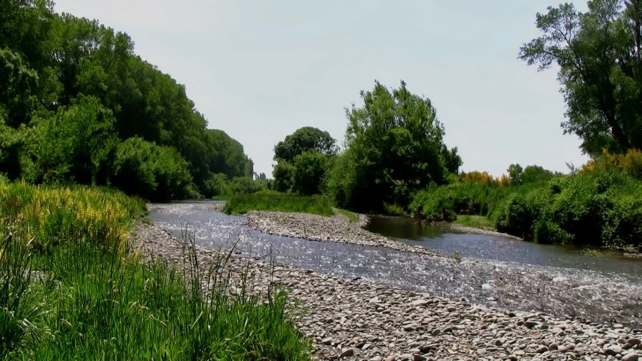 Fly Fishing New Zealand | Exploring New Water on a Lowland Stream