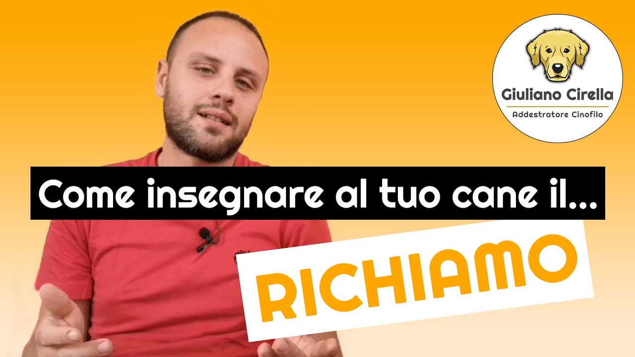 🐶 Come Insegnare il Richiamo al Cane - I 3 Errori da NON Fare | Giuliano Addestratore
