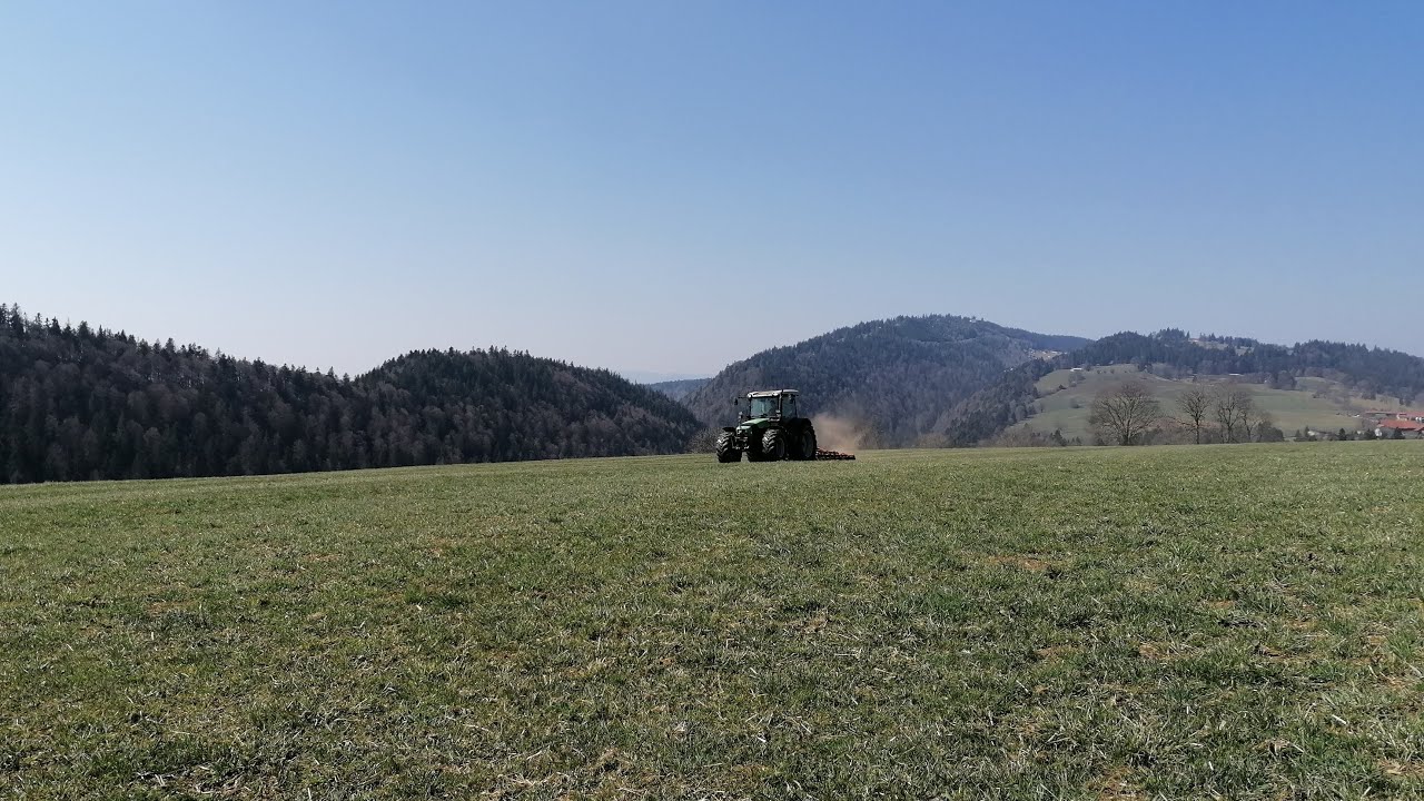 Sursemis de prairie (Deutz ,Einb&ouml;eck)