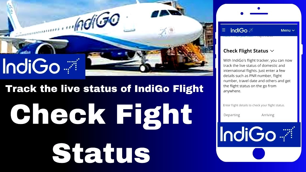 How To Check IndiGo Flight Live Status 2024 I Check IndiGo Flight Status I IndiGo Flight PNR Status