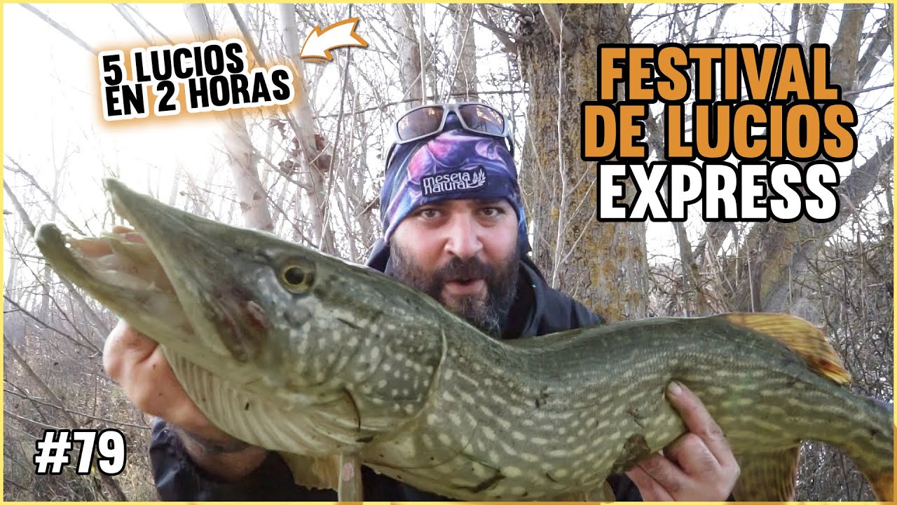Festival de grandes Lucios en una jornada Express! 5 Lucios en 2 horas | Febrero 24