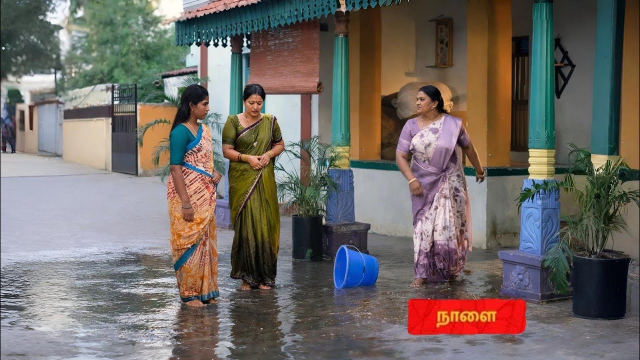 மீனாவையும் வீட்டை விட்டு விரட்டியடித்த கோமதி | Paandian Store Upcoming Promo Review 