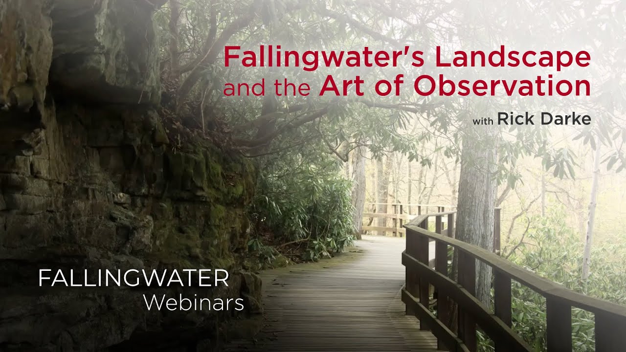 Fallingwater's Landscape and the Art of Observation | Rick Darke