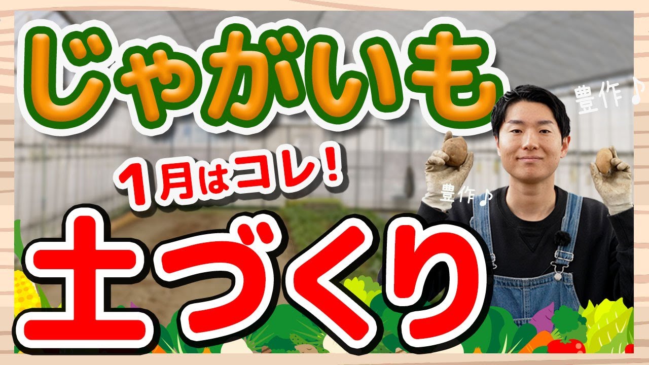 じゃがいも栽培｜失敗しない土づくりのポイントを徹底解説！【ハイポネックス】【リキダス】