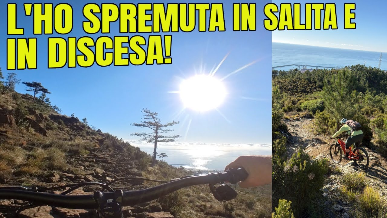Ho spremuto la TL4 a fondo, in salita e in discesa!
