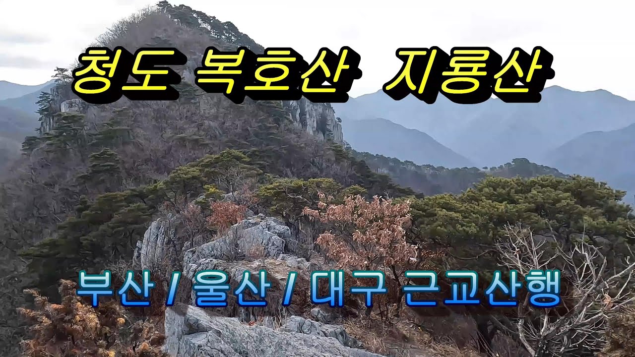 부산,울산,대구 근교산행 청도 복호산/지룡산.