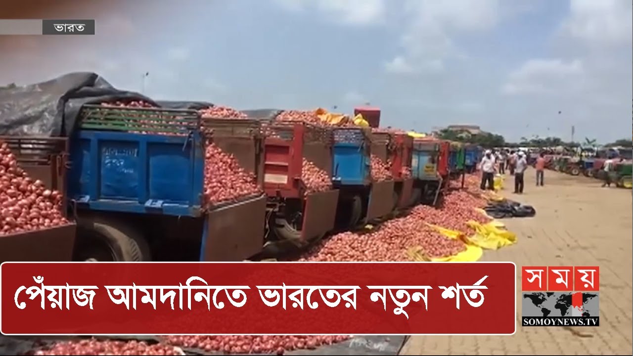 শর্তসাপেক্ষে পেঁয়াজ রপ্তানি করবে ভারত | Onion Import Export | Somoy TV