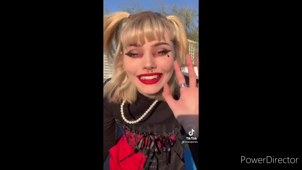 Hogwarts mystery Characters as Tiktok's