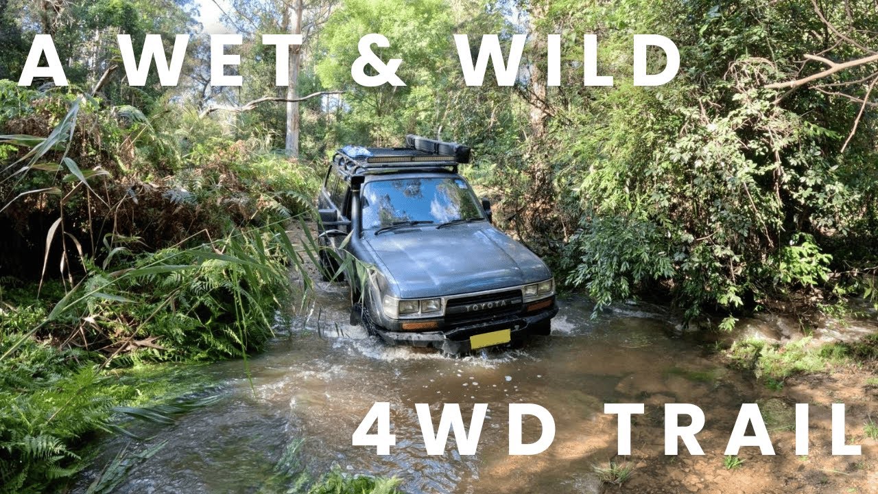 Exploring Forest Glen by 4WD &ndash; Wild Trails & Water Crossings!