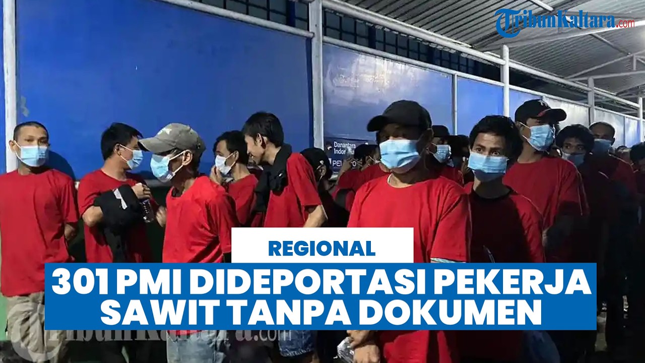 301 PMI Dideportasi, Mayoritas Bekerja di Sawit dan Masuk Tanpa Dokumen