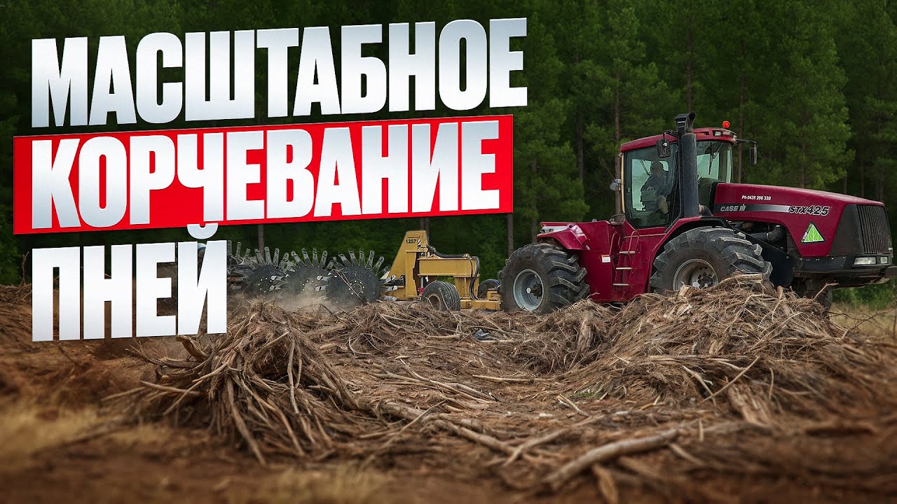 Масштабное корчевание пней. Роторные вращающиеся грабли. Расчистка с оборудованием SAVANNAH