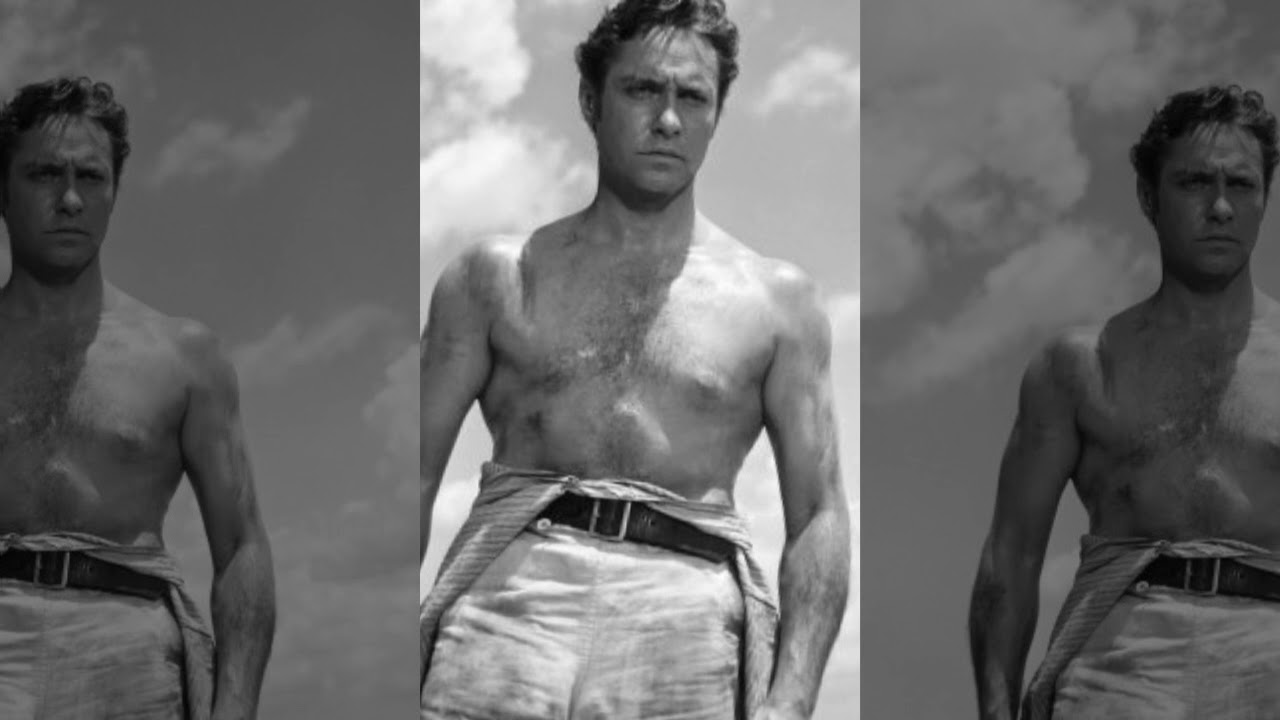 RICHARD TODD TRIBUTE
