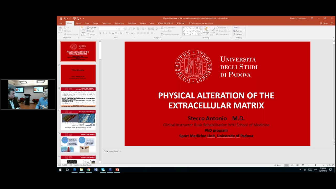 The Stecco Concept of Fascial Manipulation  Clinical Implications