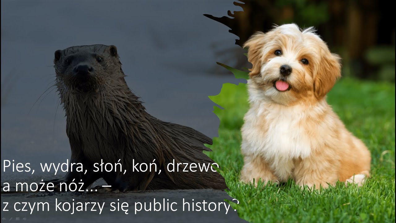 Wykład prof. dr hab. Joanna Wojdon - Z czym kojarzy się public history?