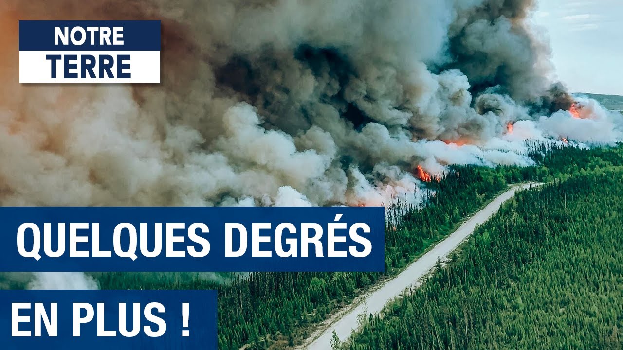 Aquitaine : Les dangers du réchauffement climatique - chaleur intense - Documentaire - AMP