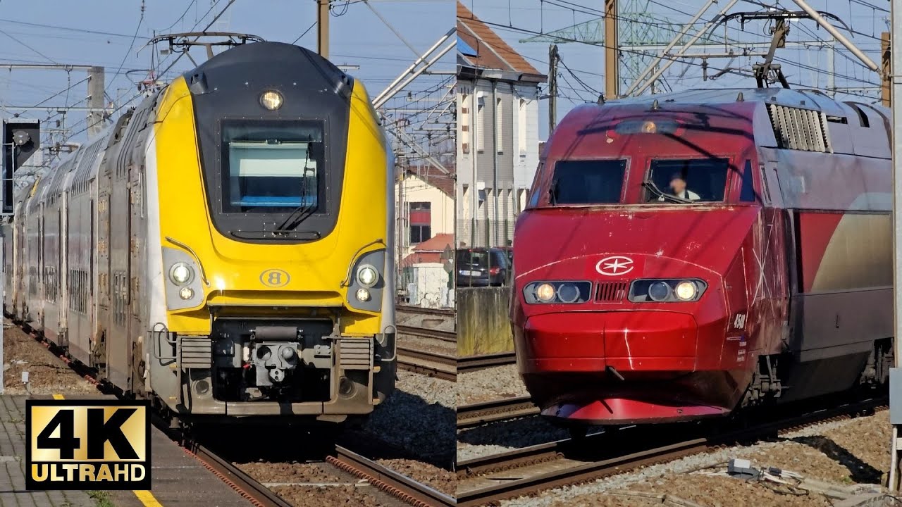 Train Traffic between Brussels and Halle (160 km/h) | February 27, 2024