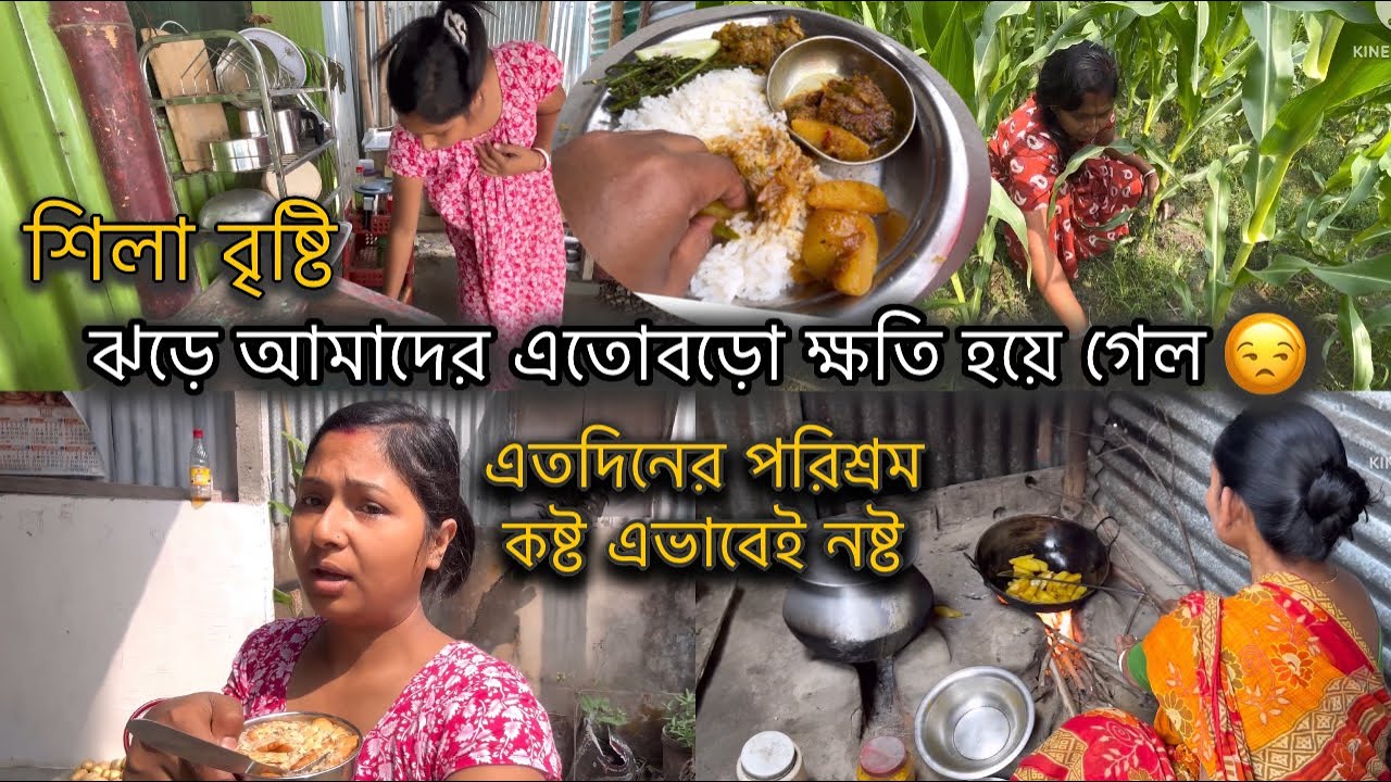 শিলা বৃষ্টি আর ঝড়ে আমাদের এতবড় ক্ষতি করে দিলো, এতদিনের পরিশ্রম কষ্ট সব এভাবে শেষ হয়ে গেল ||😒