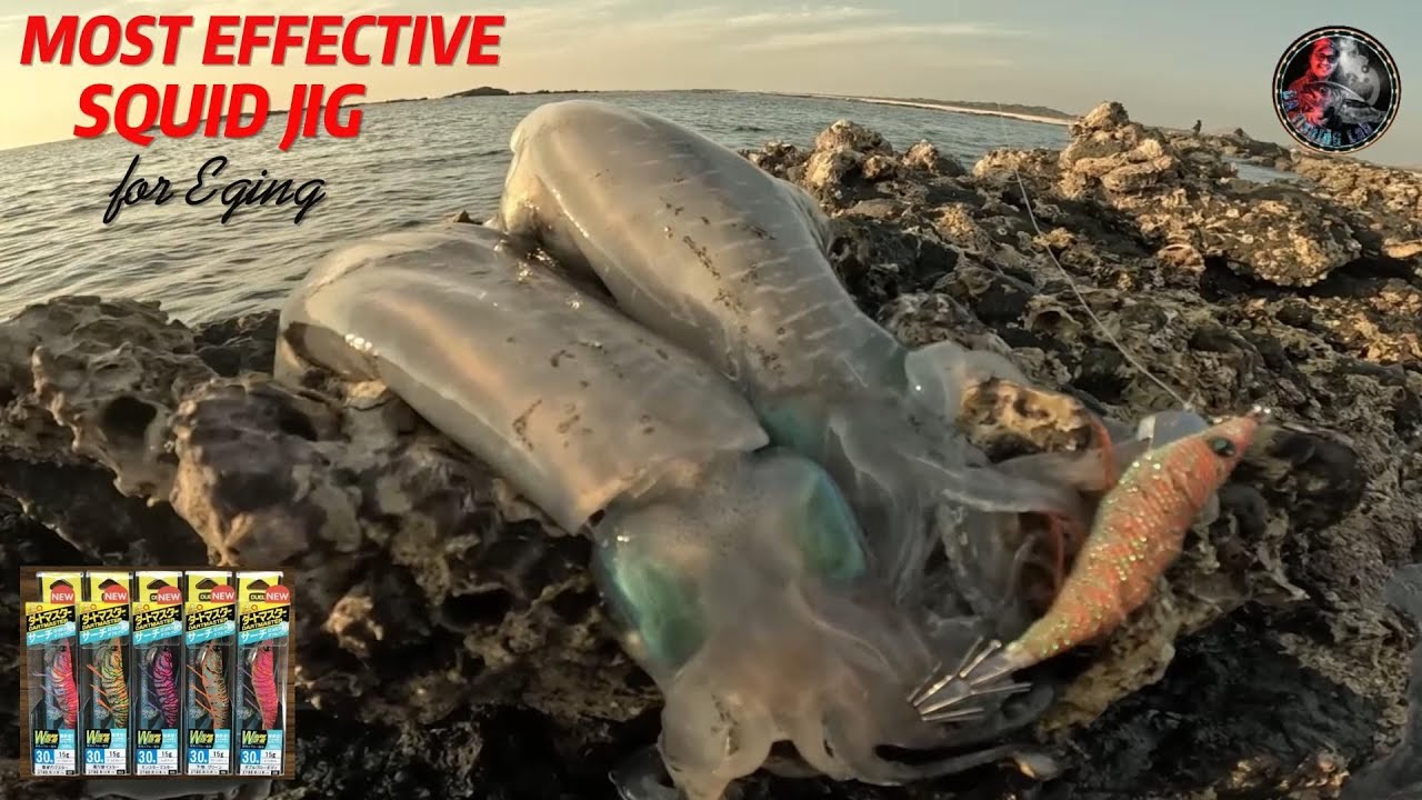 MOST EFFECTIVE JIG FOR EGING | SQUID JIGGING | SHORE CASTING | FISHING OMAN