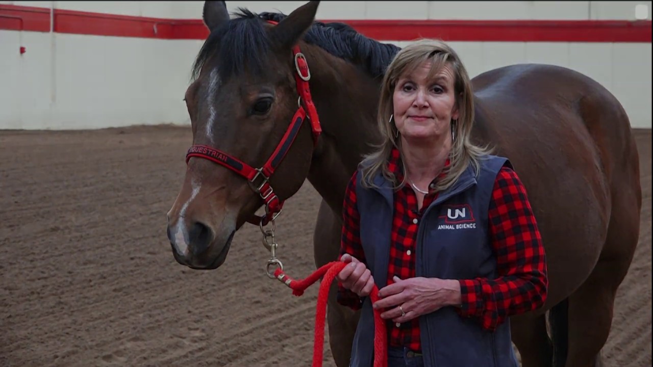 Dr  Kathleen Anderson Intro Video