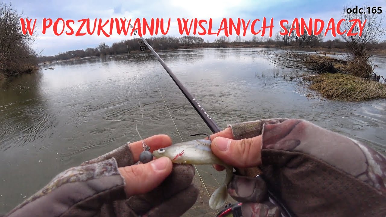 CORAZ BLIŻEJ CELU / SANDACZ / WISŁA / odc.165 #sandacz  #spinning #handmade #badyl #woblery #wisła