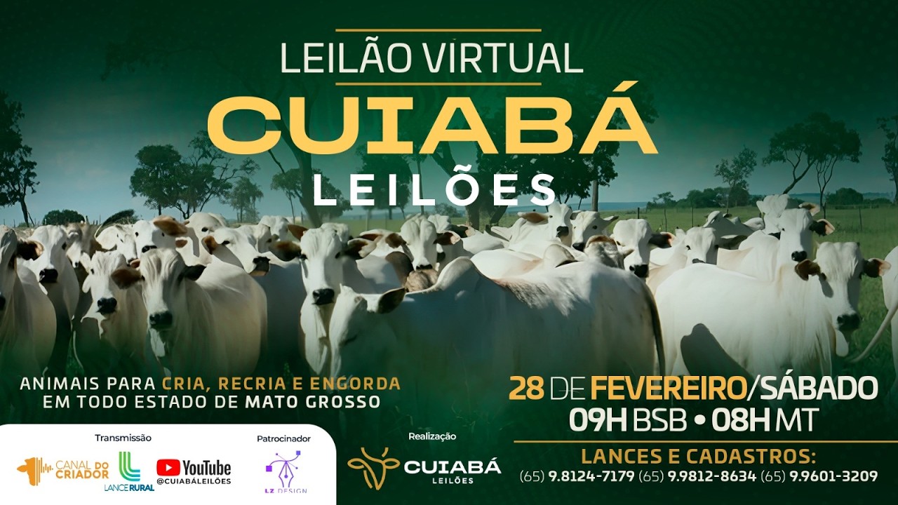 121° LEILÃO VIRTUAL CUIABÁ LEILÕES 28-02-2026.