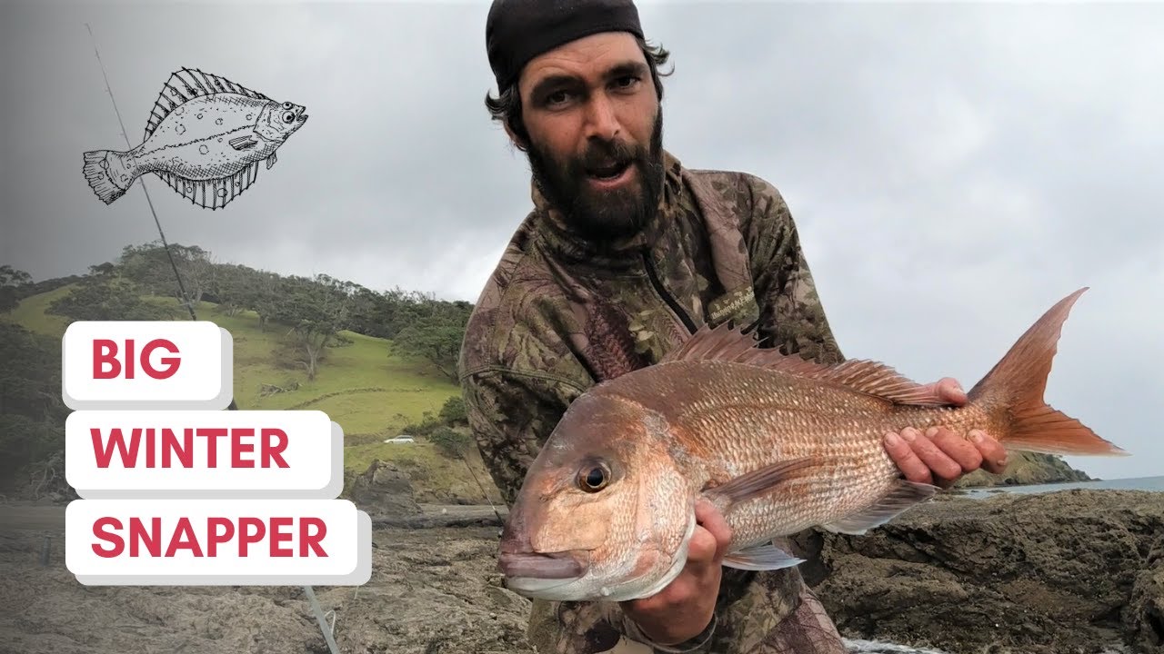 BIG SNAPPER Off The Rocks | Coromandel