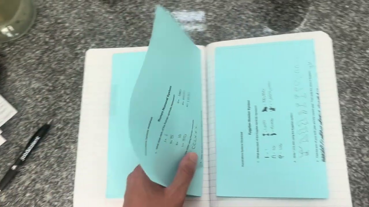 MAT256 Interactive Notebook Check