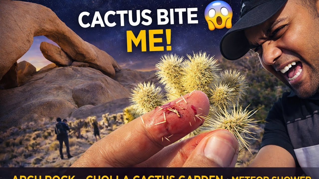 கள்ளி குத்து |Joshua Tree National Park, CA#joshuatreenationalpark#bakpaktraveler#chollacactusgarden