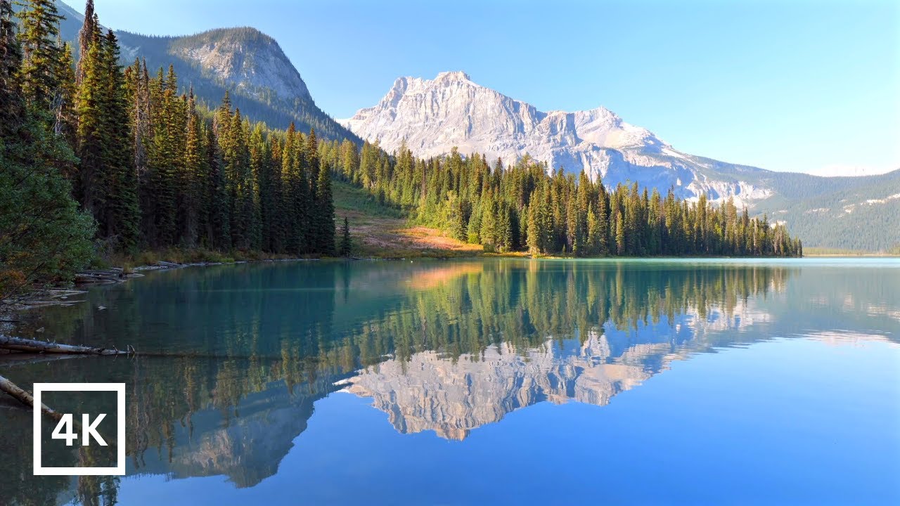 Emerald Lake Ambience | Yoho National Park | Gentle Waves for Sleep & Study | Peaceful Nature Sounds