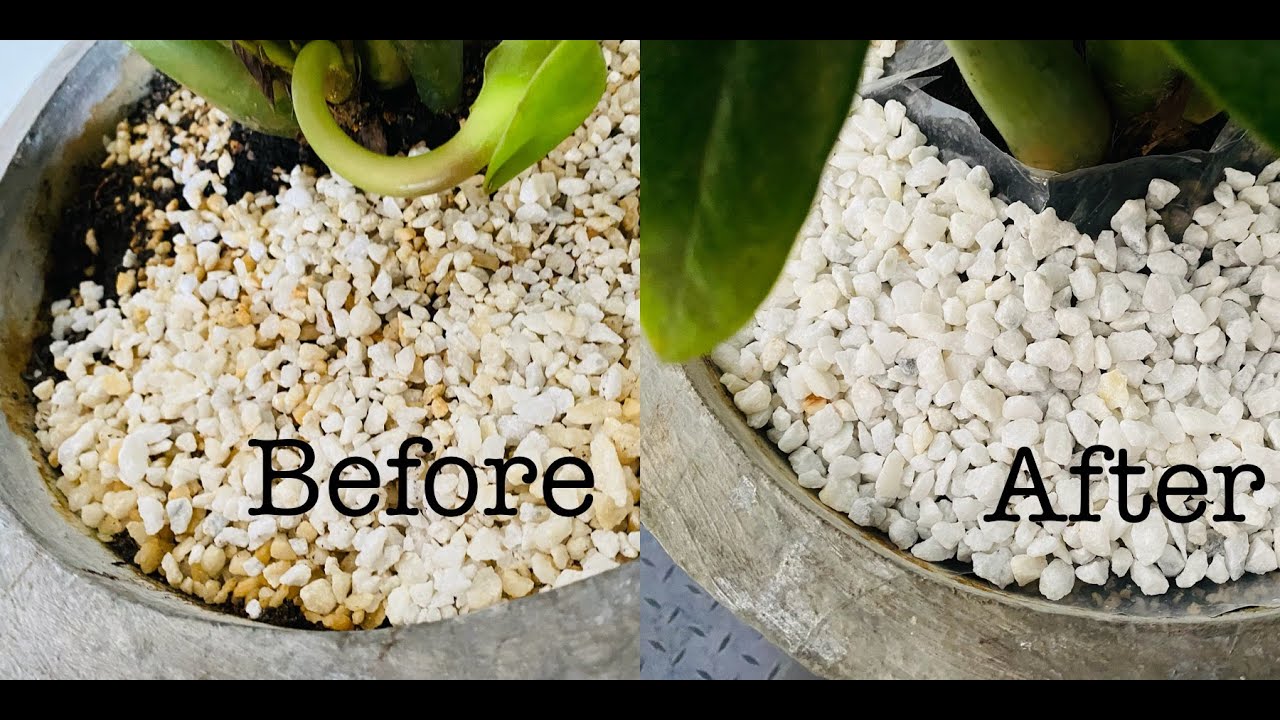 how to keep clean tree pot stones  tips! give the new look and keep it clean for long time..