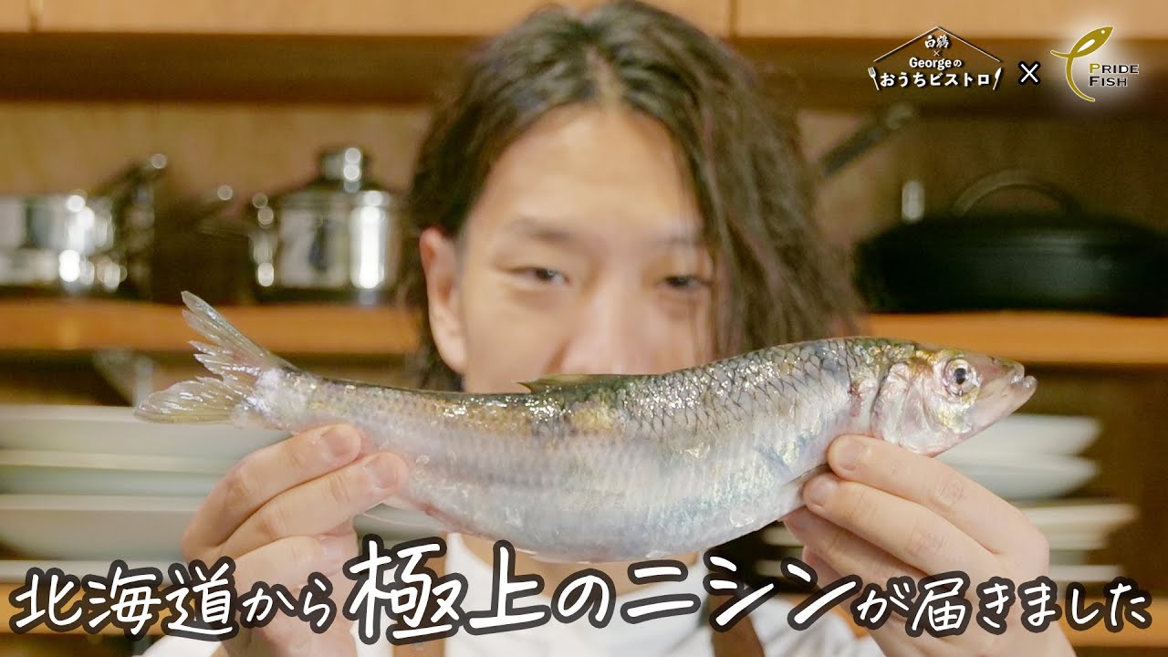 【ビビる美味さ】銀鱗に輝くニシンで「極上アヒージョ」作ります【PRIDE FISH／石狩湾のニシン】