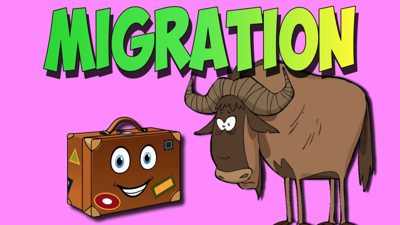 Migration Song- Animal Migrations