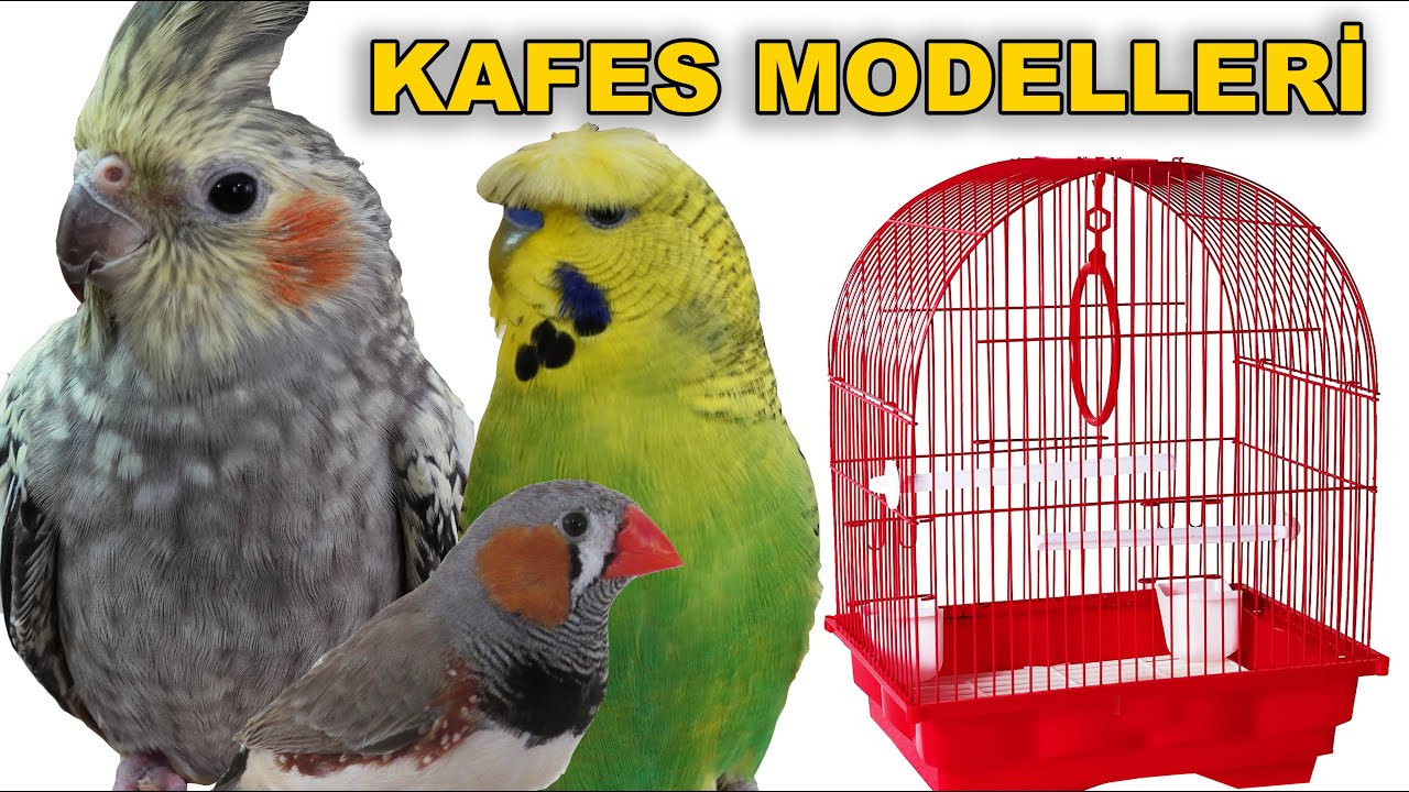 Kuş Kafesi Modelleri Fiyatları