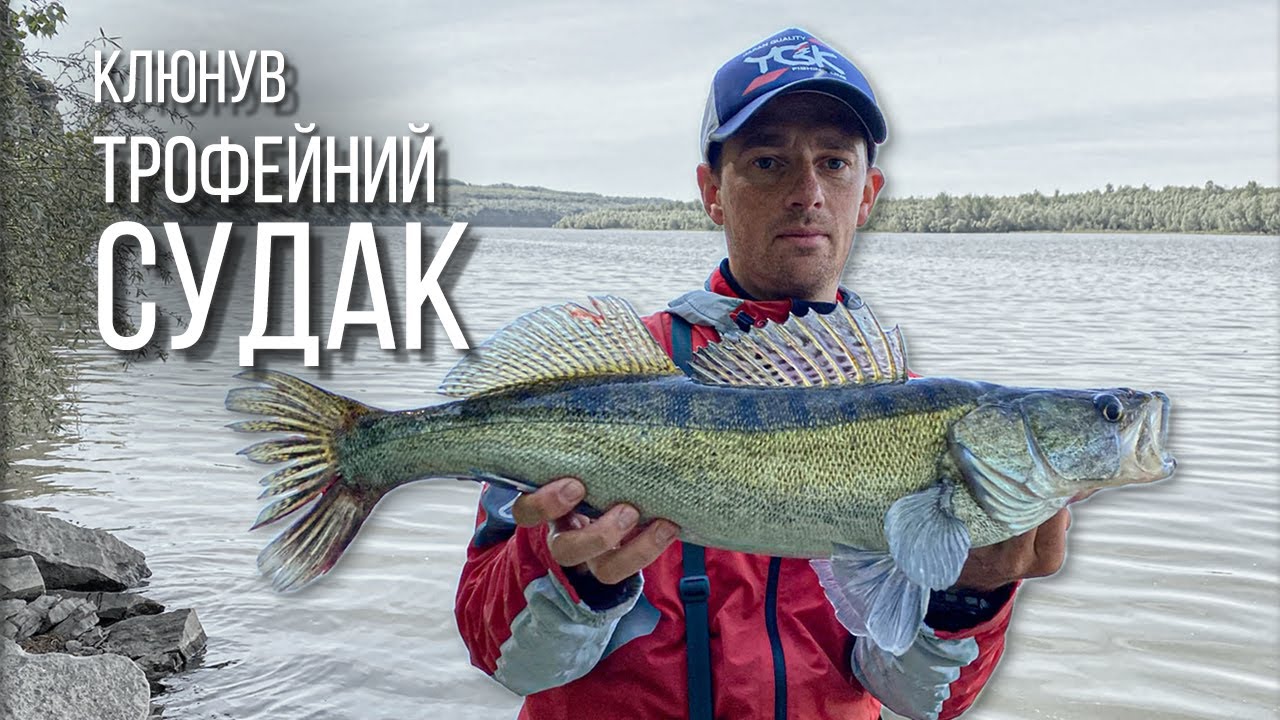 Клюнув трофейний судак. Рибалка на судака на Дністрі. Перші враження від golden catch attrezzo 710