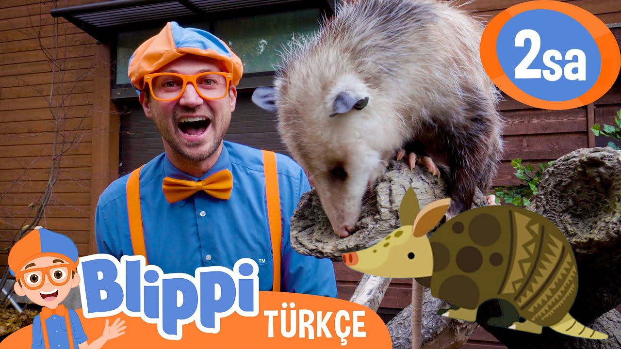 Blippi ile Vahşi Hayvanları Keşfedelim 🐘 | Blippi T&uuml;rk&ccedil;e - &Ccedil;ocuklar i&ccedil;in Eğitici Videolar