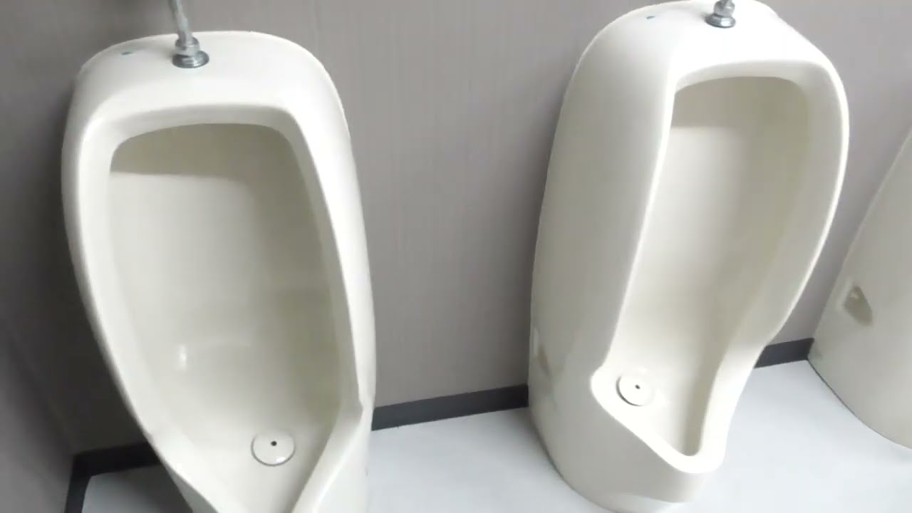 青森大学 5号館4F　男性トイレ（青森・青森市）🚽　Aomori University　WC Japanese Toilet, Restroom (Men's room)　Flush