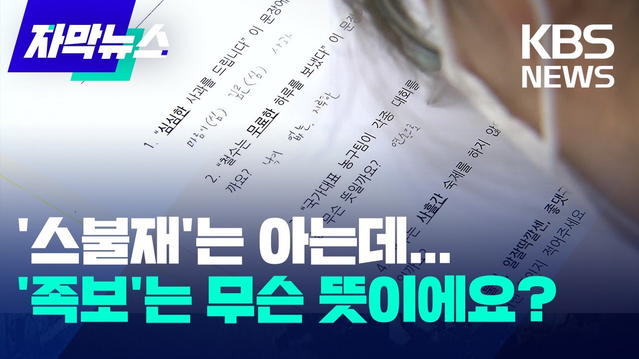 '신조어' 알아도 '표준어' 모른다&hellip; 책 대신 숏폼 보는 청소년 문해력 논란 / KBS 2024.11.06.