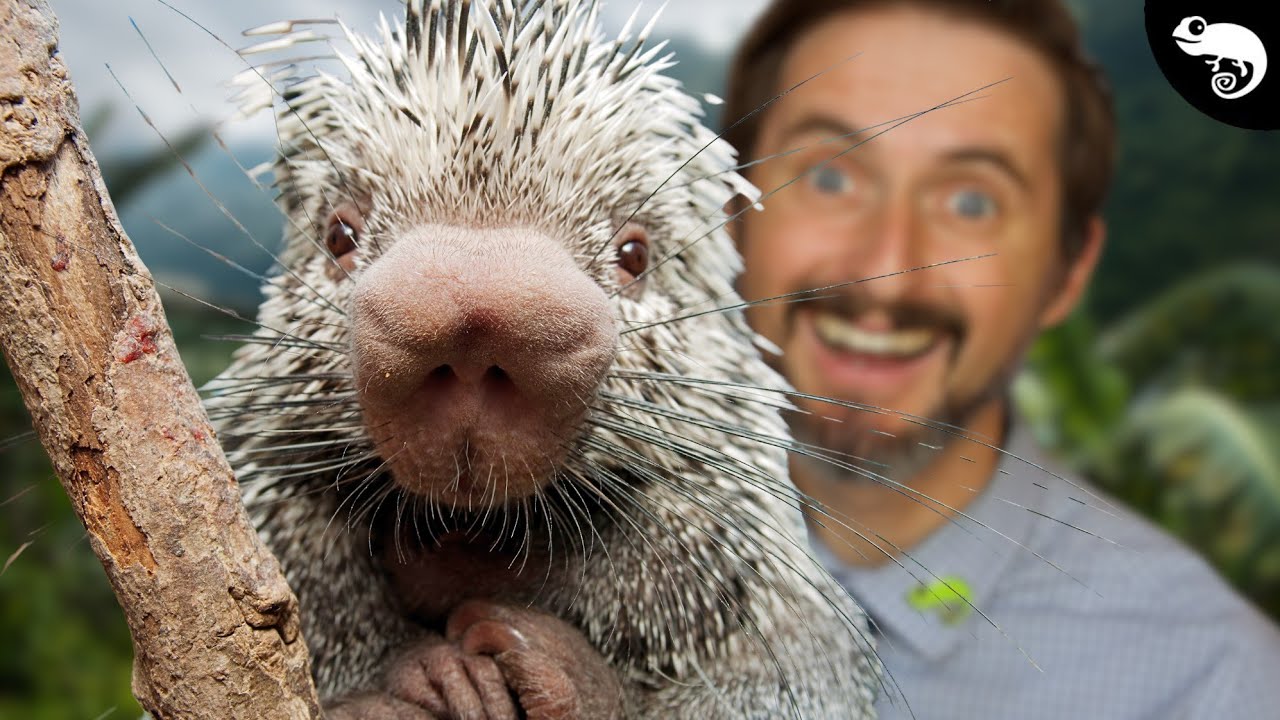 We Don't All Love Rodents, But We All Love THESE Rodents!