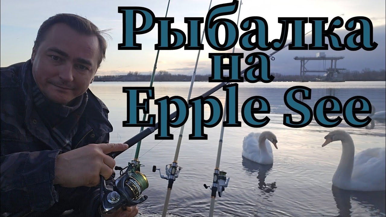 Активная рыбалка🎣 на Epple See клюнул ЯЗЬ и плотва #рыбалка #angeln #fishing  #язь #see #плотва