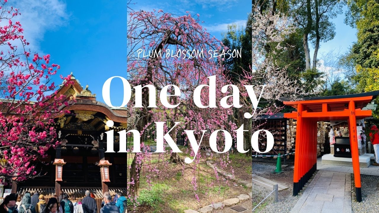 KYOTO VLOG| Early Spring, Plum blossoms, Kitano Tenmangu Shrine,Kyoto tower,cafe,Okonomiyaki,Tempura