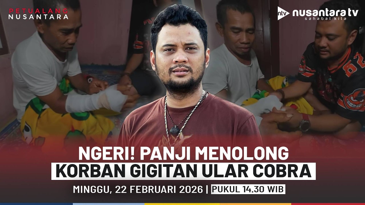 [LIVE] Ngeri! Panji Menolong Korban Gigitan Ular Cobra | PETUALANG NUSANTARA