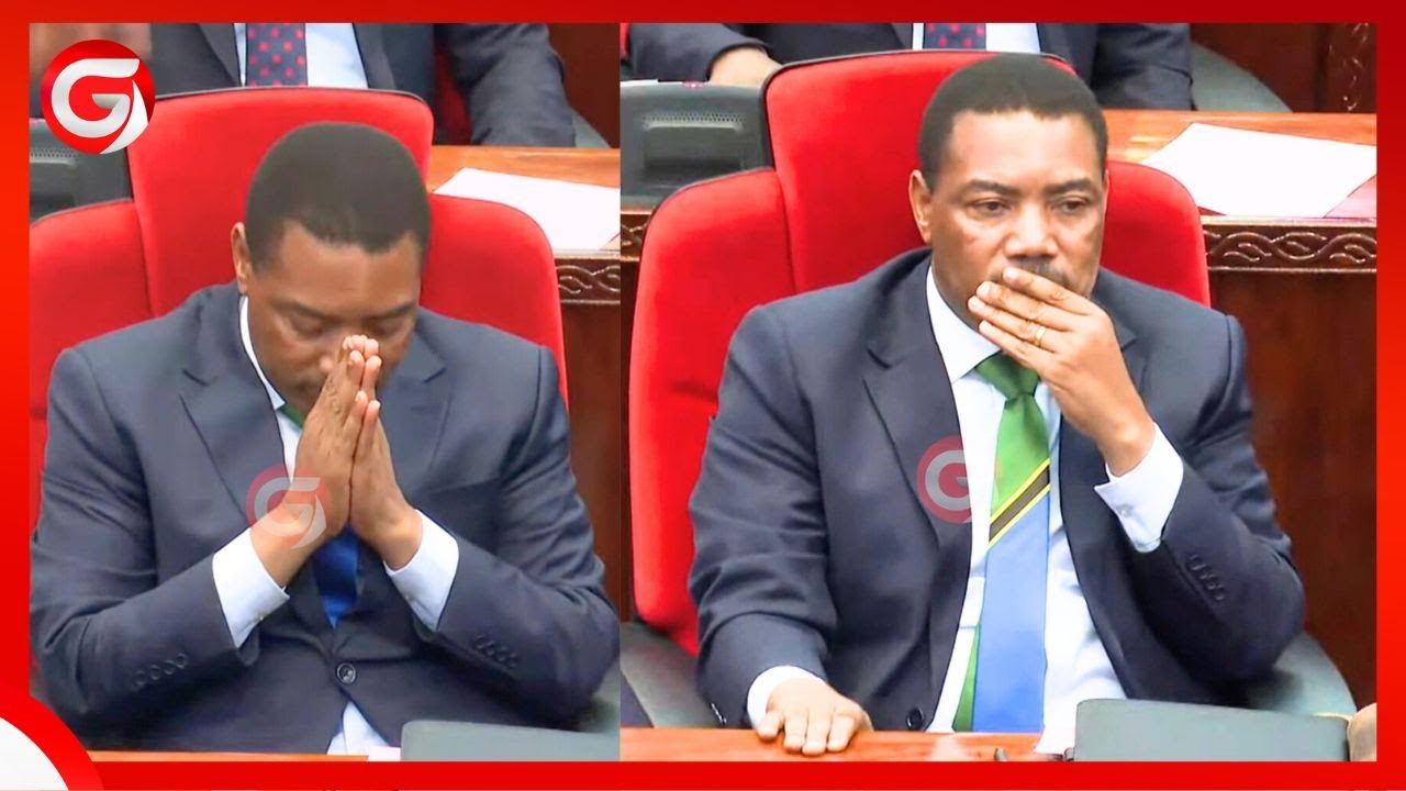 DKT MWIGULU NCHEMBA ATHIBITISHWA RASMI KUWA WAZIRI MKUU MPYA BAADA ya USHINDI wa KURA 369....