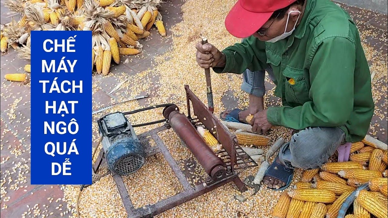 Tự chế máy tách hạt ngô nhà nông rất hiệu quả @nhanongtv1