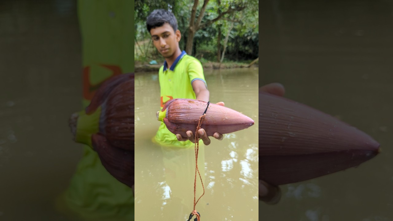 Unbelievable Fish Catching Method With Banana Peel Bait#fishing#riverside