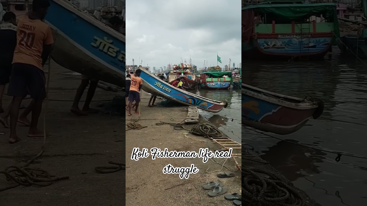 koli fisherman life real struggle live video boat  #fisheman #shortsvideo #shorts #viral