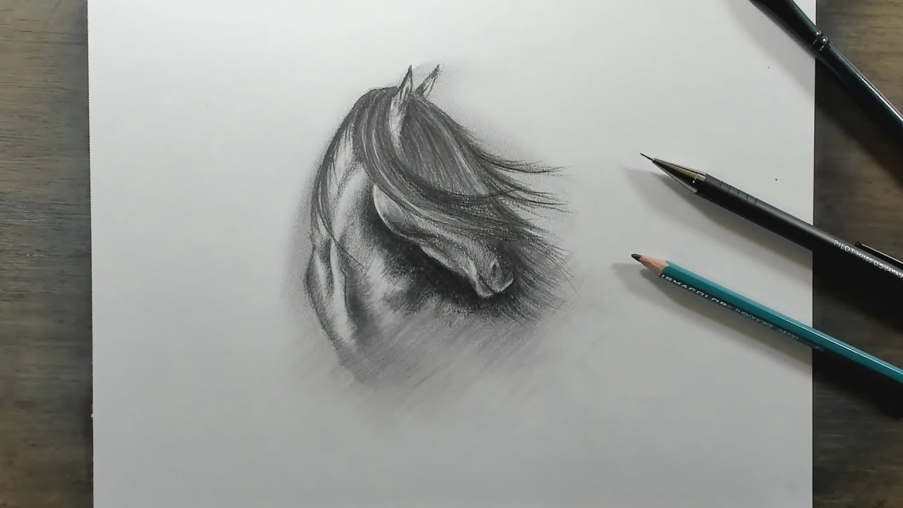 Cómo Dibujar un Caballo estilo Sketch - TUTORIAL