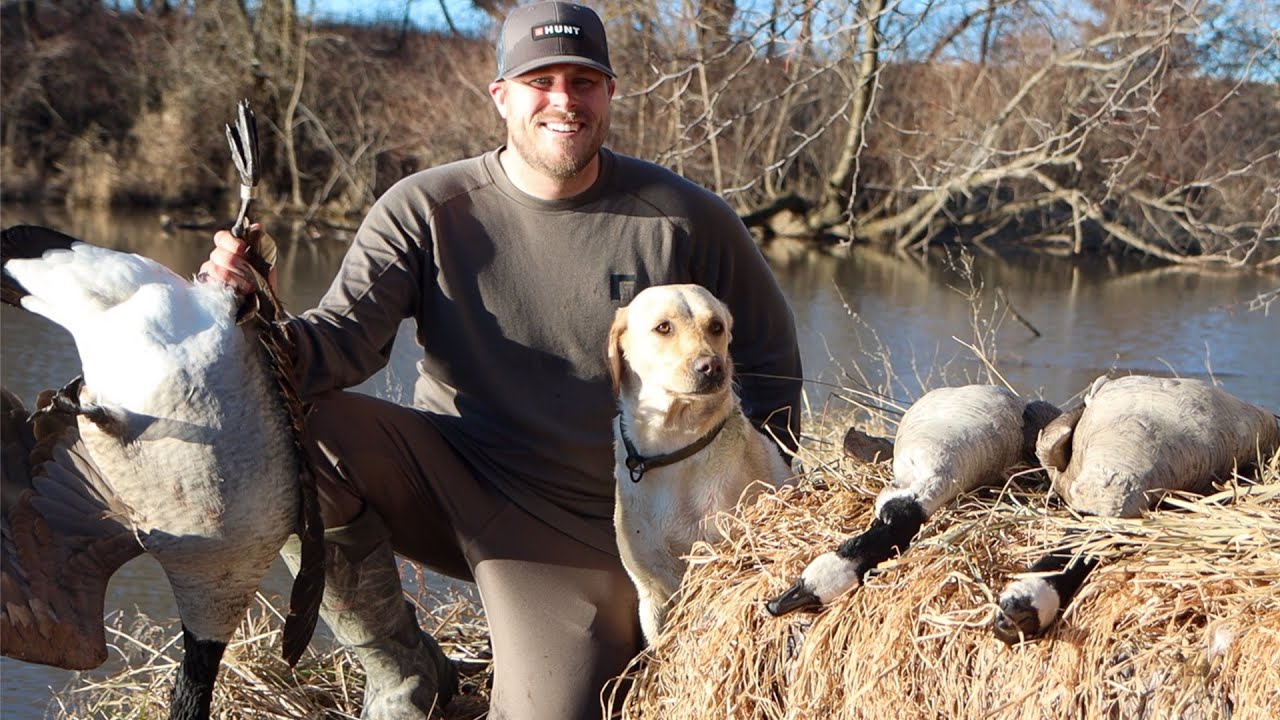 FEET DOWN Honkers | IT'S BANDED! (Solo Goose Hunt)